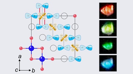 Hiramatsu Lab